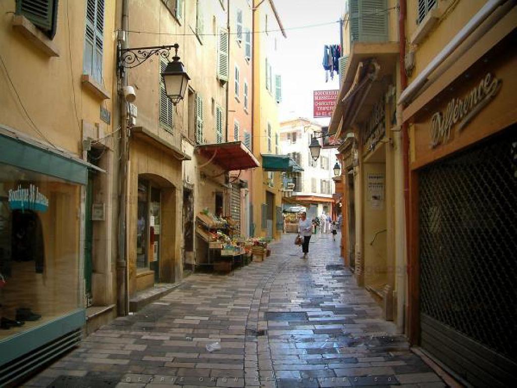 183 HYERES ET SES PALMIERS D14_000047.jpg